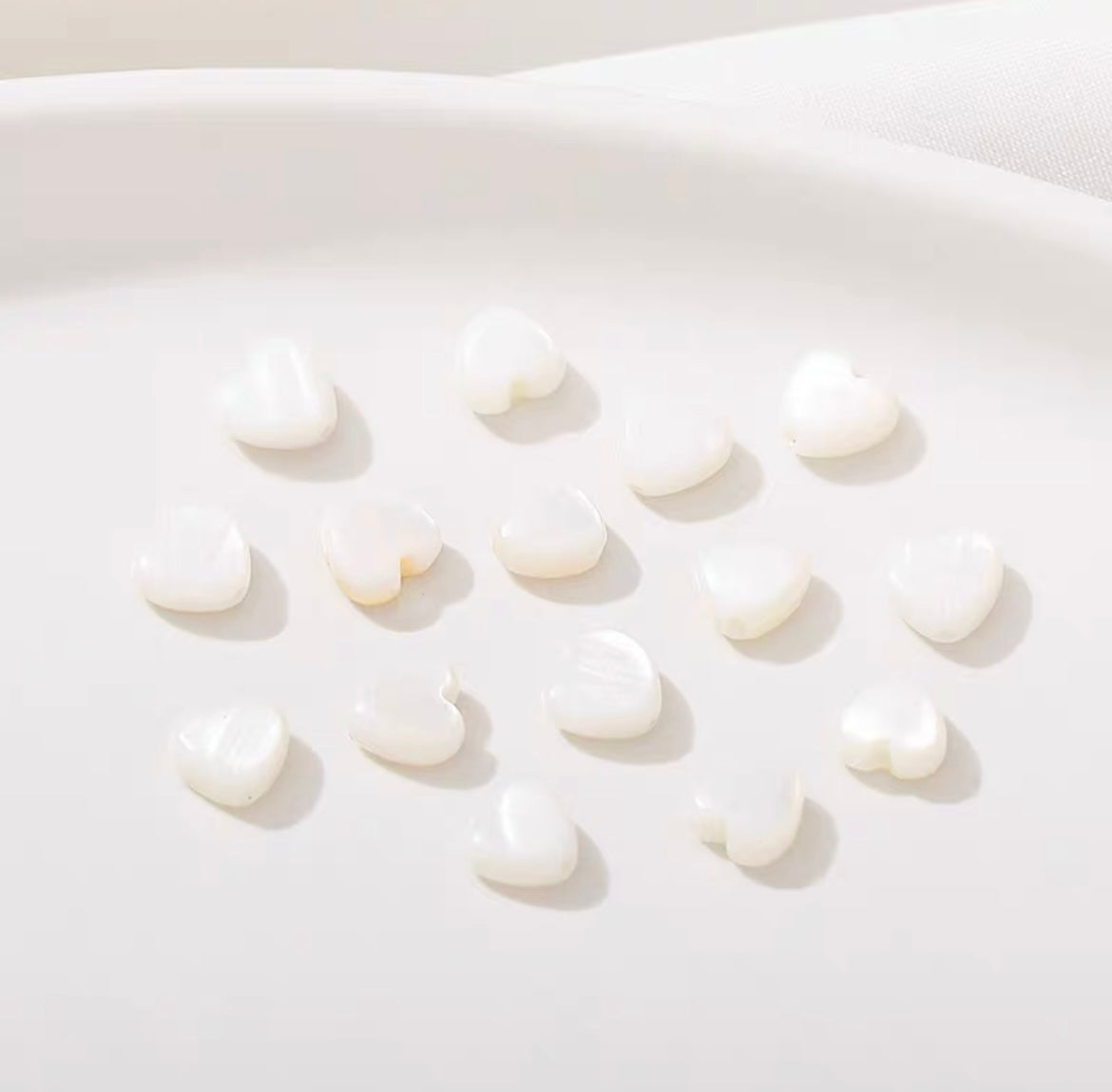 Natural Freshwater Shell  Beads  (10pcs)