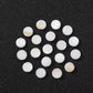 Natural Freshwater Shell  Beads  (10pcs)