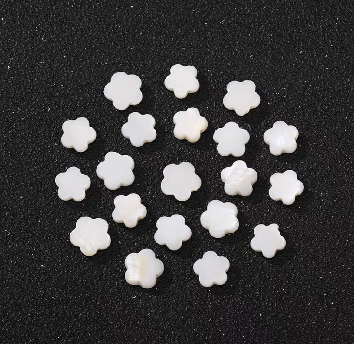 Natural Freshwater Shell  Beads  (10pcs)